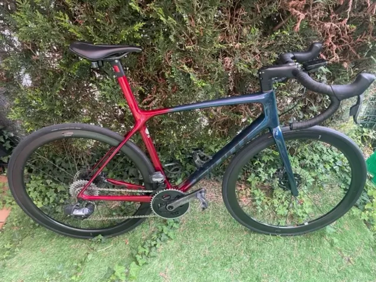 giant tcr advanced sl 1 disc